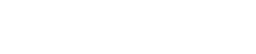 LENS System