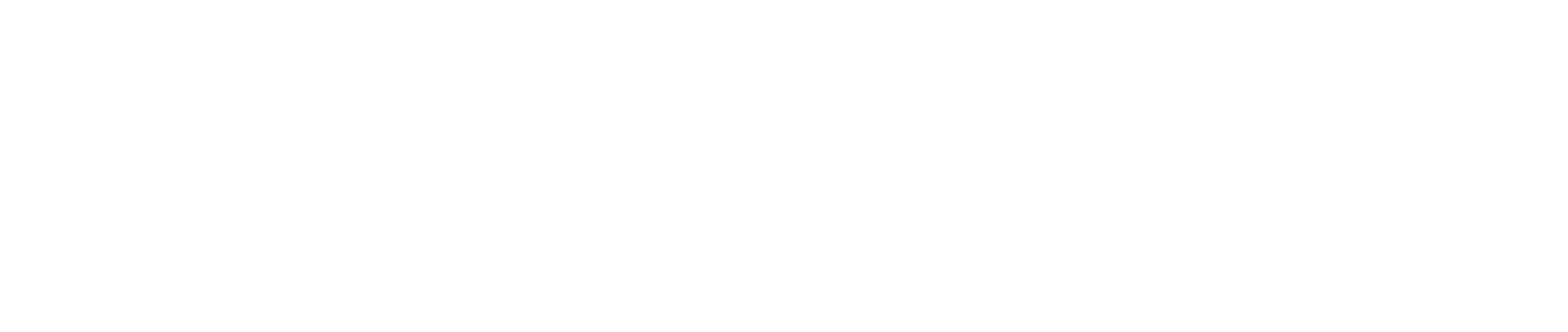 Lens System